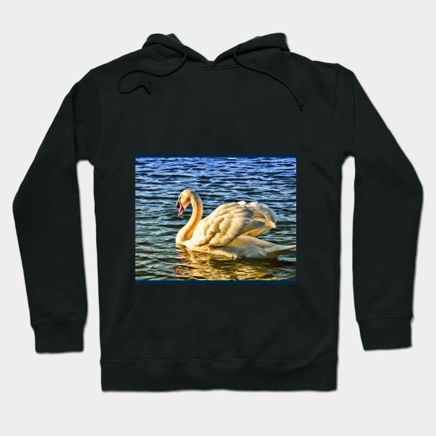 Swan wading on water in sunshine Hoodie by Blue Butterfly Designs 